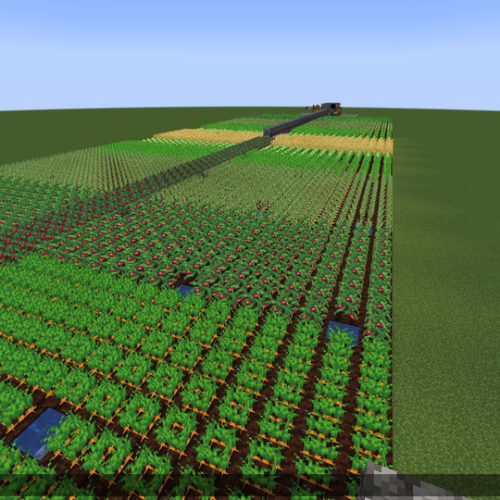 Large farms